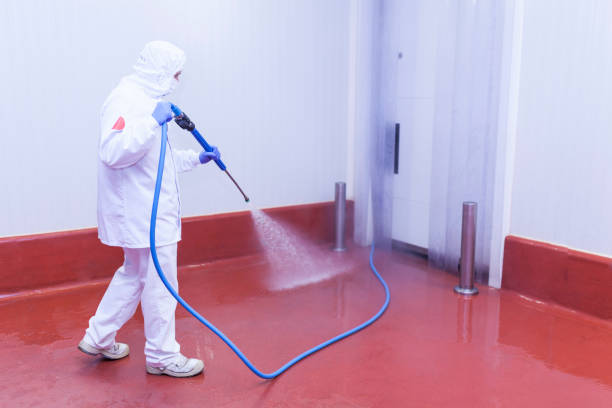 Professional  Pressure Washing Services in Burlingame, CA
